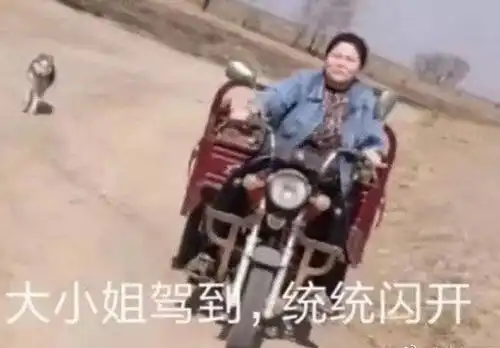 郭老师表情包三
