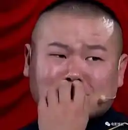 舞台谐星到银幕不好笑了小岳岳与佟丽娅鼠胆英雄票房才
