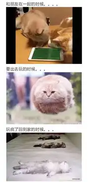 幽默图片搞笑段子比单人吃火锅更寂寞的是,单人没有钱吃火锅
