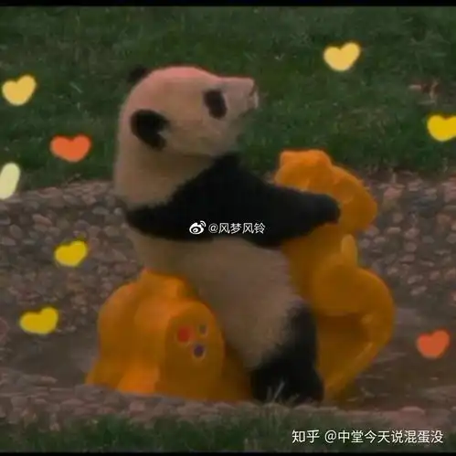 请问各位小姐姐啊淘宝上有哪家店真正很真的光腿神器啊
