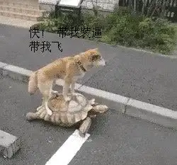 神级gif妹子的防走光意识如何花样作死秀恩爱
