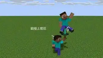 我的世界搞笑图片
