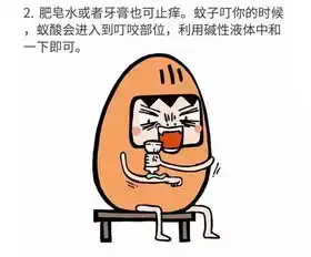 夏日袭来,招蚊子是因为血型吗终极答案在此
