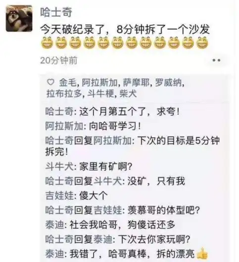 搞笑图片大合集,哈哈哈哈哈哈哈哈网友黑色显瘦竟然是真的
