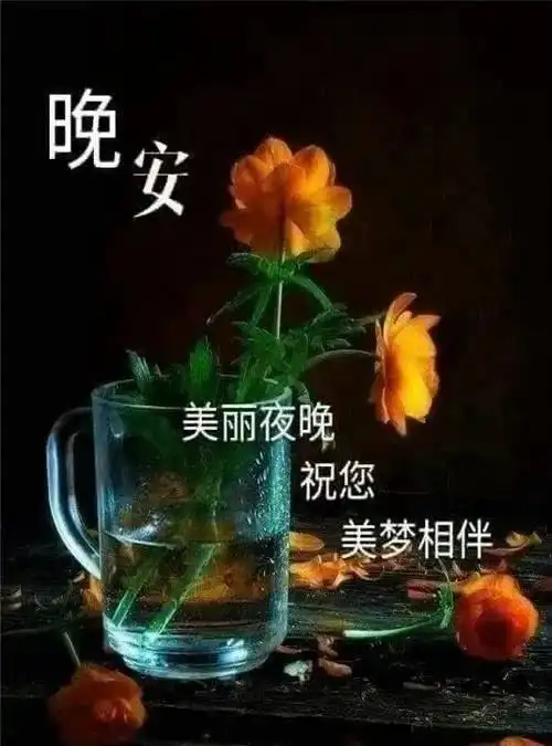 9张最美睡前晚安问候祝福图片带字精选晚上好问候祝福动画表情包
