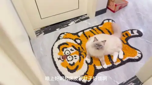半夜被饿醒分享一下神仙泡面吃法
