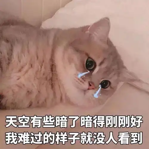 猫猫表情包第13期丨大家好我是鳌拜的弟弟,熬夜
