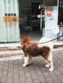 趁爷爷睡着了帮他把茶杯洗了一下哈哈哈结果评论区沸腾了
