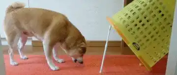 搞笑图片大哥你嘴巴怎么了
