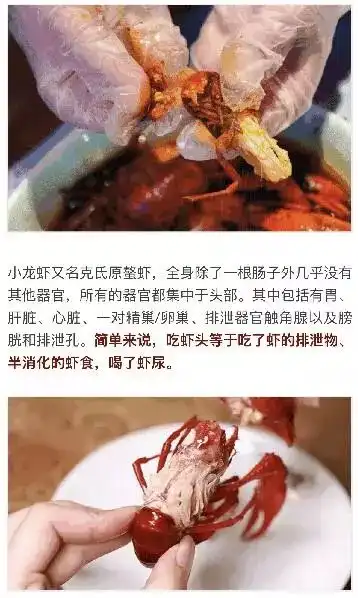 小龙虾的头到底能不能吃看完惊出一身冷汗
