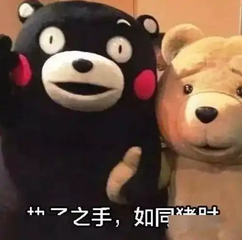 猪聪明又干净,公猪是射精时间最长的动物,猪的冷知识你都知道吗
