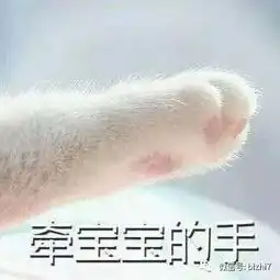 可爱猫咪表情包搞笑文字头像
