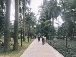 景美人少不花钱又好玩,南宁这个公园,森林中竟藏着一片小沙漠
