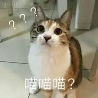 恶龙咆哮喵喵喵表情包微信头像图片大全
