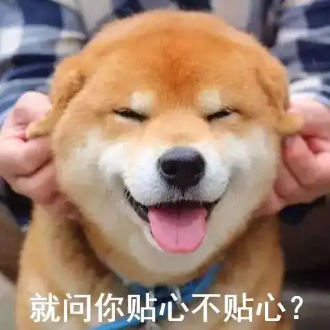 不用取票下周起,孝感这6个火车站可直接刷身份证进站乘车
