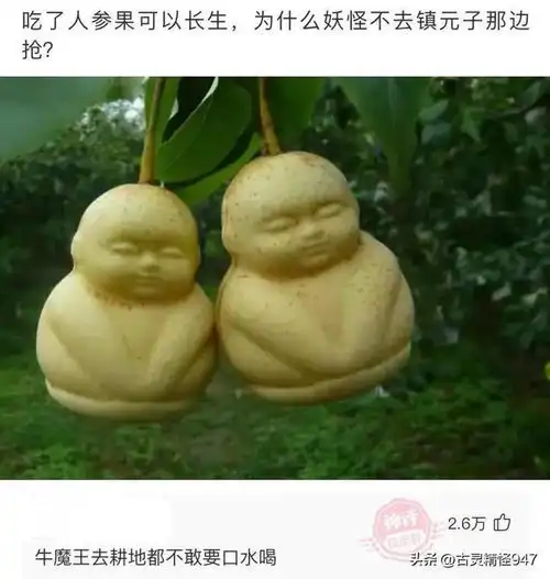 搞笑神评吃了人参果可以长生不老,为什么妖怪不去镇元子那抢
