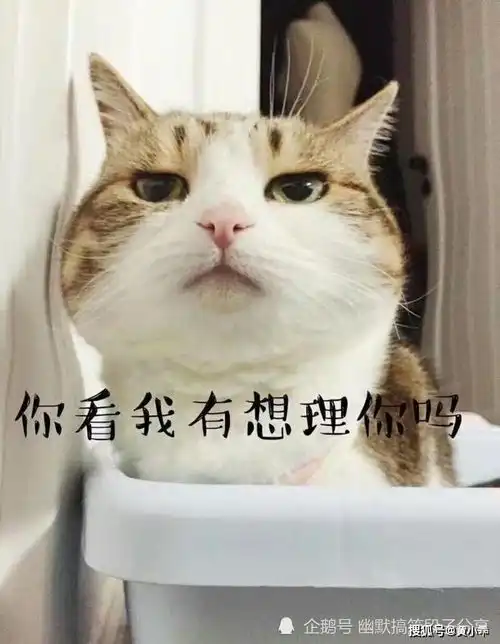 搞笑段子经常和富二代喝酒,没多久就发现怀孕了
