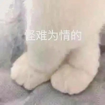 我进组啦听说第一天可以安利自己的爱豆
