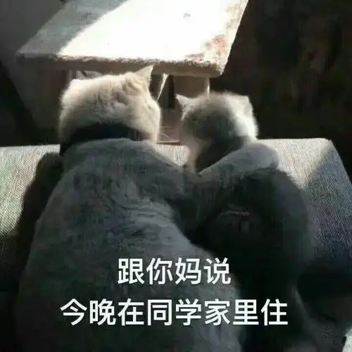 你见过哪些让人笑出腹肌的表情包
