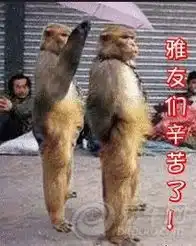 森雅论坛图片集锦
