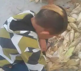 搞笑图片熊孩子的玉米穗发型真是醉了
