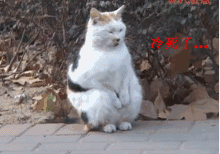 搞笑gif图片这美女将来一定会成功的
