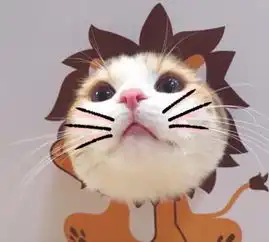 最新萌宠情侣头像猫狗搞怪可爱
