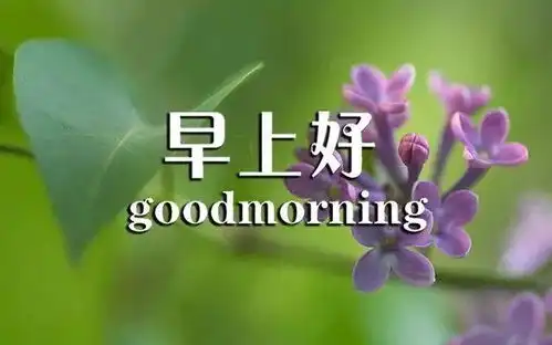 9月5日周末分享到朋友圈的早上好漂亮图片带字暖心的早上好祝福说说心情
