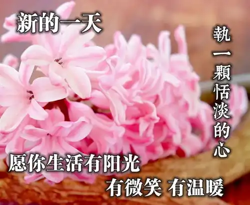 2020新的早上好表情动图动态图片早上好表情
