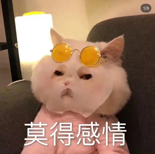 可爱表情包图片好搞笑大全
