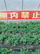 gif搞笑趣图这天气污染的太严重了我出门必须带这个
