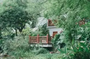 景美人少不花钱又好玩,南宁这个公园,森林中竟藏着一片小沙漠
