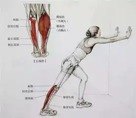 健身全套小腿拉伸图解让你告别萝卜腿
