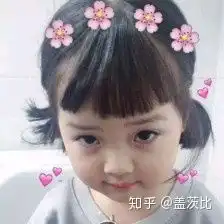 用一句话形容你的大学专业
