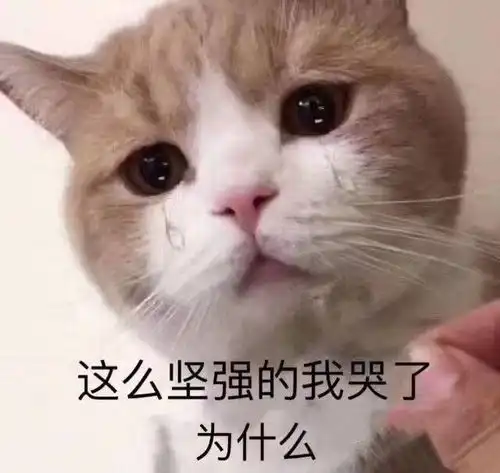 最新热门可爱搞笑表情包图片
