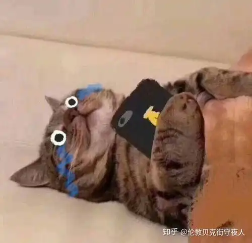 你经历过不幸中的大幸是什么
