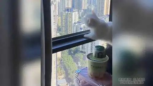 被蜜蜂蛰了的猫脚能有多好笑,这就是手欠抓蜜蜂的下场

