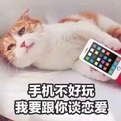 幽默俏皮话哄女生开心配上这些图简直是绝了

