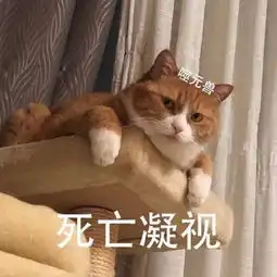 网上看到qx用品,想截图发给闺蜜结果错发到工作群

