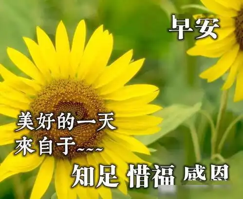 清晨最暖心的早安祝福语精选,早上很漂亮的问候表情图片
