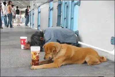 再忙也偷着看的幽默搞笑图片

