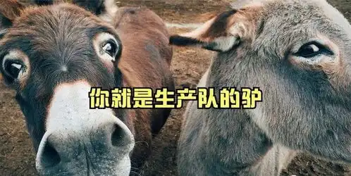 600070世界第一
