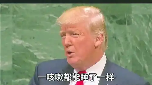 老坏了搞笑配音特朗普我腰疼透出美国小心思拜登
