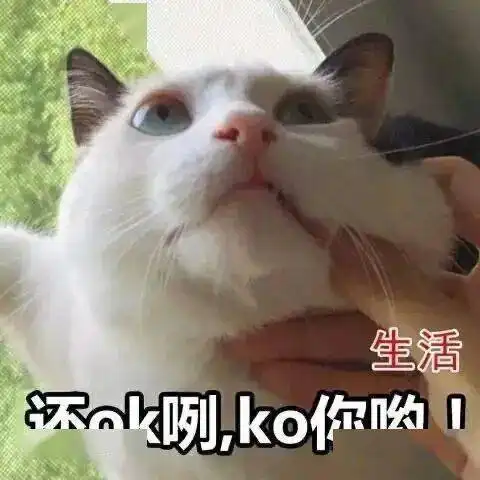 抖音最火表情包合集,每个都很赞
