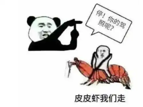 每日冷知识双十一也是人民空军生日
