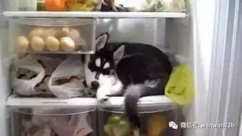 天太热,发几张照片让你凉快下
