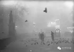 反思持续1个多世纪的伦敦雾霾纪实高清组图
