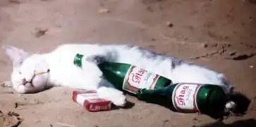 经典搞笑故事
