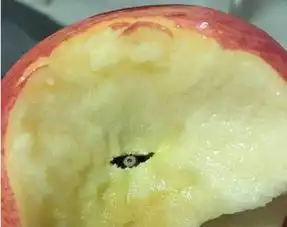 朋友圈里最爆笑的照片,防火防盗防同学聚会
