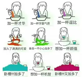 2017年表情包合集之我的表情包人生
